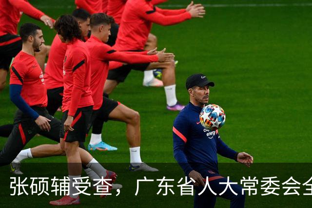 张硕辅受查，广东省人大常委会全力支持中央决策